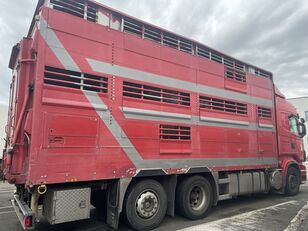 SCANIA R 500 6X2 26T EURO 5 GANADERO CAJA PEZZAOLI camión para transporte de ganado