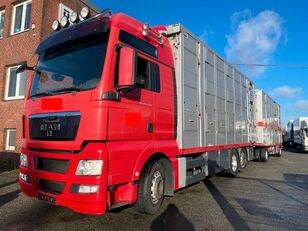 MAN TGX 26.440  camión para caballos + remolque de caballos