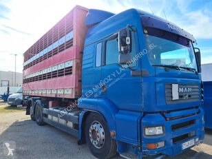MAN camión para transporte de ganado
