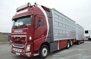 Volvo FH 540 XL TRANSPORTATION OF LIVE ANIMALS camión para transporte de ganado + remolque para transporte de ganado
