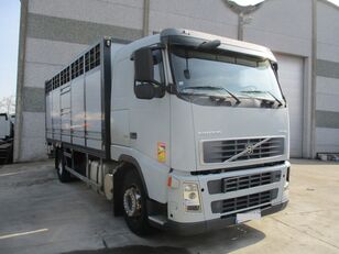 Volvo FH12 camión para transporte de ganado