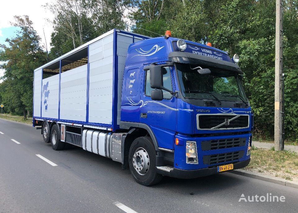 Volvo FM 440 DO BYDLA -ZYWCA camión para transporte de ganado