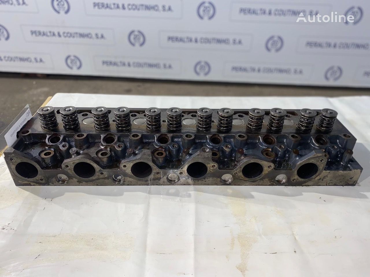 Renault : Midlum / DCI6 Cabe ç a do Motor 5600621174 culata para Renault camión